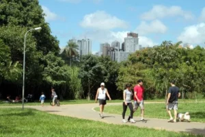 Parque Ecológico de Águas Claras recebe caminhada gratuita pelas trilhas do Cerrado